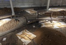 Photo of Ася Филиппова: «Общение с художниками дало мне настоящую свободу»