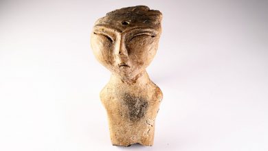 Photo of Никогда не поздно вернуться в каменный век