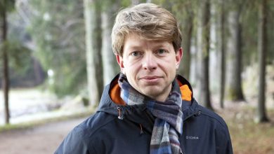 Photo of Александр Смирнов: «Парк Монрепо, в отличие от других, не перестраивался»