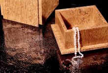 Photo of Благородный тандем