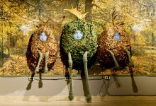 Photo of Пора в Зарайск — перезагрузиться с помощью современного искусства