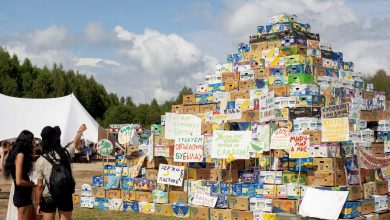 Photo of На «Архстоянии» вырастет 15-метровый розовый слон