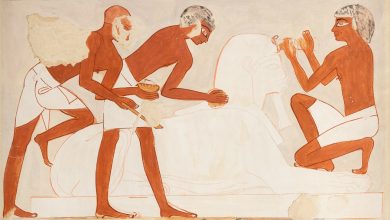 Photo of Выставка в Кембридже воспевает строителей Древнего Египта