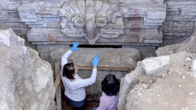 Photo of В Мексике обнаружена гробница сапотеков, которую охраняет сова