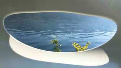 Photo of Ольга Чернышева: белый лист — посчитанная пауза