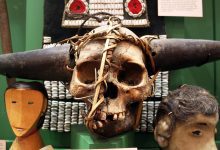 Photo of Судьбы настоящих скелетов в музейном шкафу