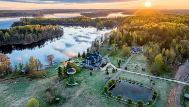 Photo of Весеннее пробуждение