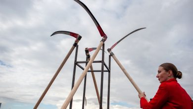 Photo of Болотная биеннале: арт-табор на крыше