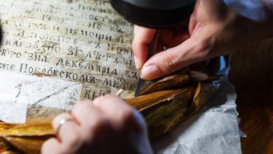 Photo of Памятная доска Софии Суздальской стала воротами в русскую историю