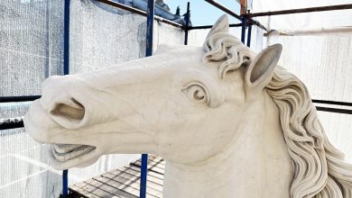 Photo of Диоскуры продолжат укрощать коней без риска для своей сохранности