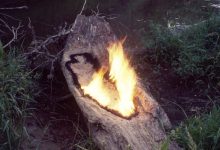 Photo of Неолитическое искусство Аны Мендьеты воссоздали в Лондоне